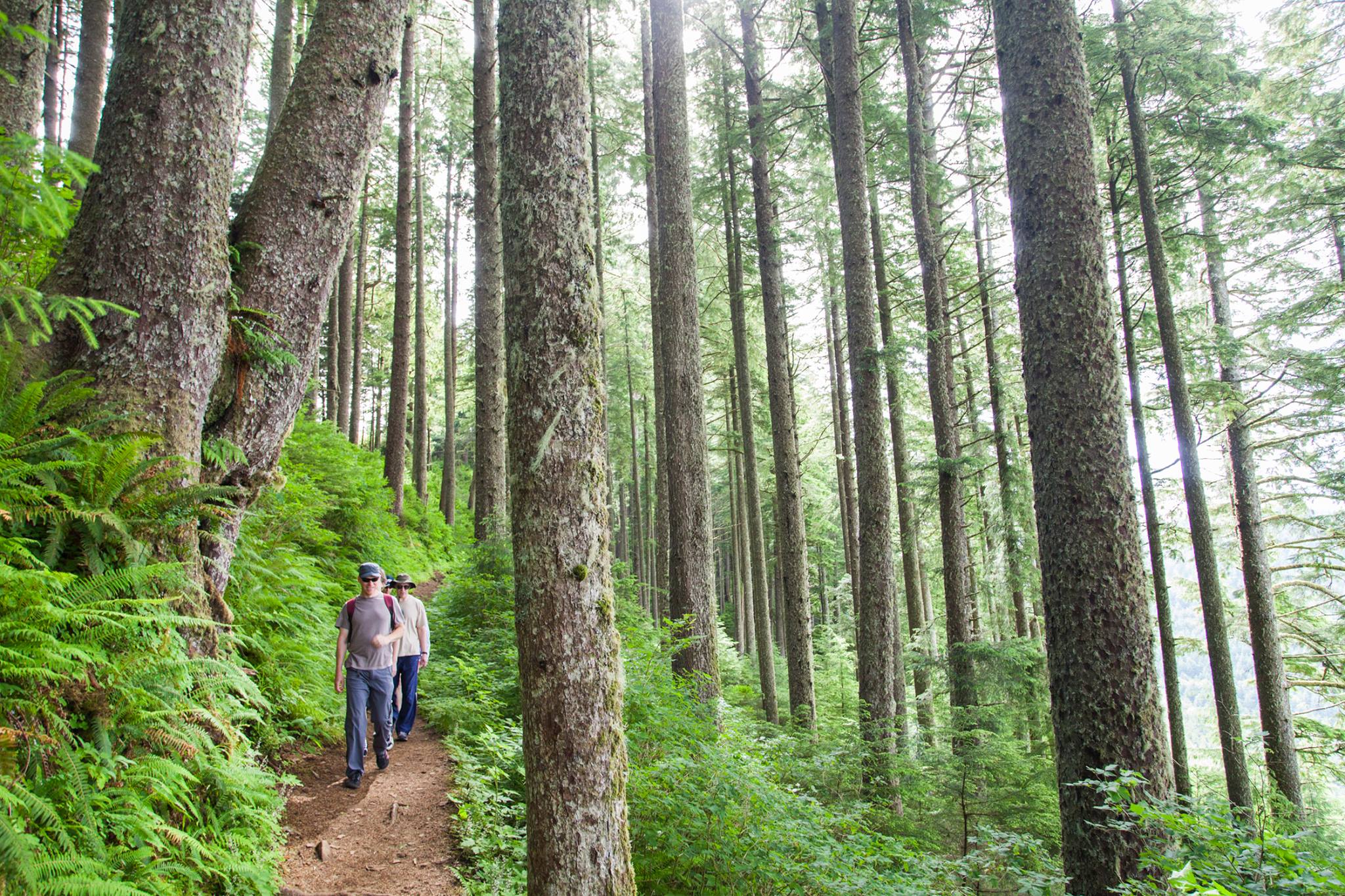 Nestucca Bay Wildlife Refuge Two Rivers Peninsula