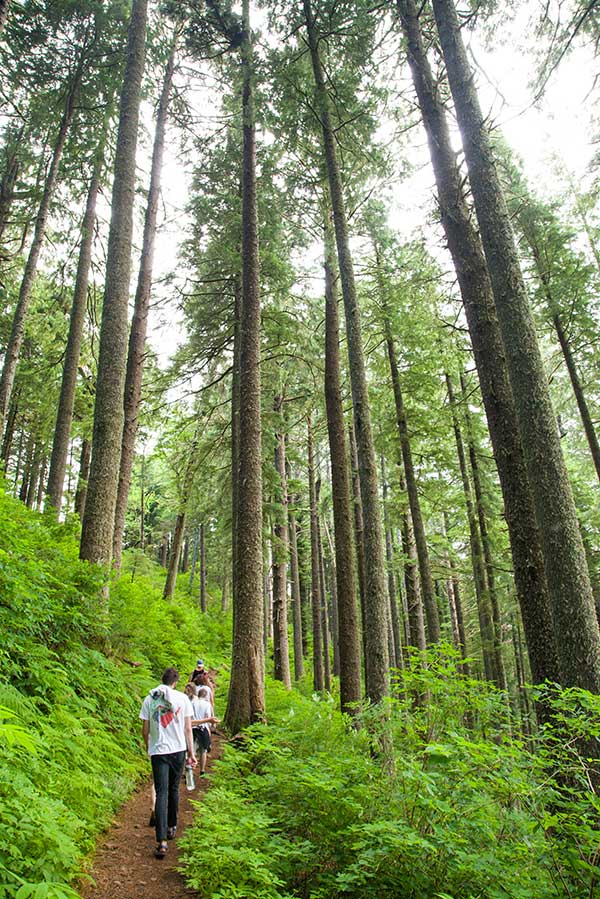 Tillamook Coast Neahkahnie Mountain Hiking-Trails