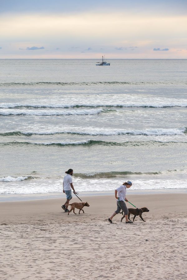 Tillamook Coast Oswald State Park