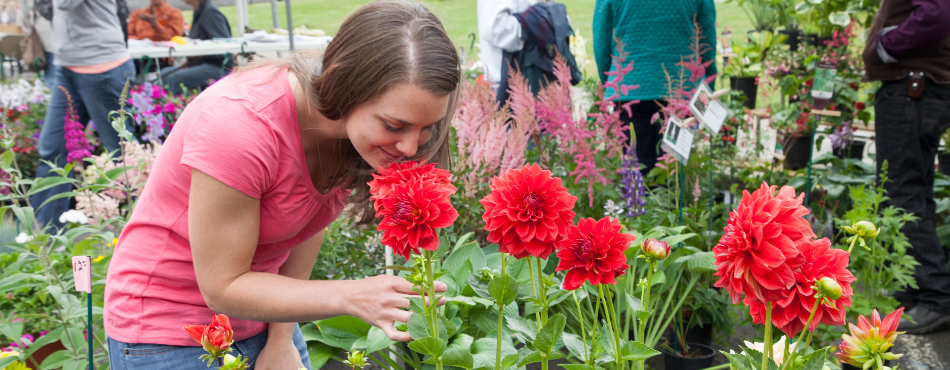 Tillamook Coast Spring