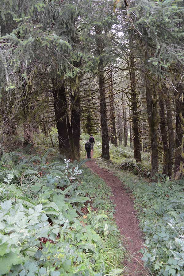 Hebo Oregon Hiking