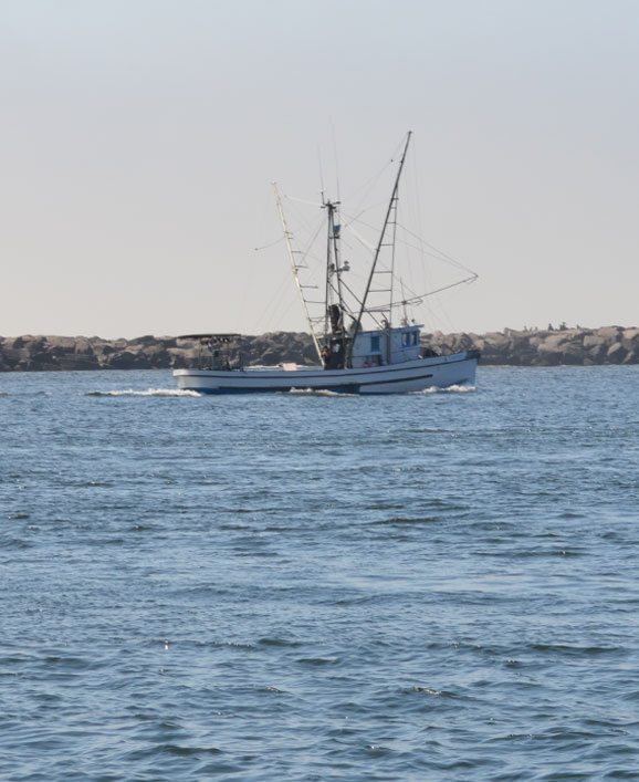 Dory boat on the water