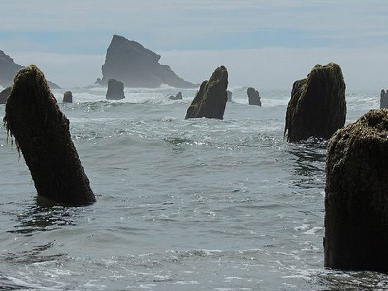 Neskowin Ghost Forest: ancient tree stumps rise out of the ocean at high tide