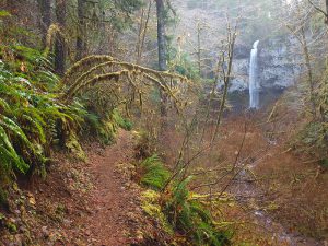 Pheasant Creek Falls