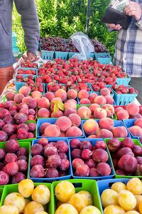 PacificCityFarmersMarket_C