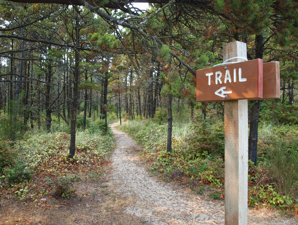 Wooded trail with trailhead sign in foreground
