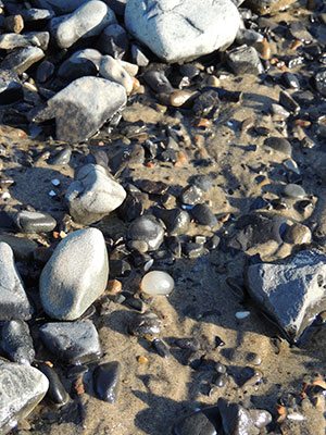 5 Tips for Rockhounding on the Oregon Coast in Tillamook County