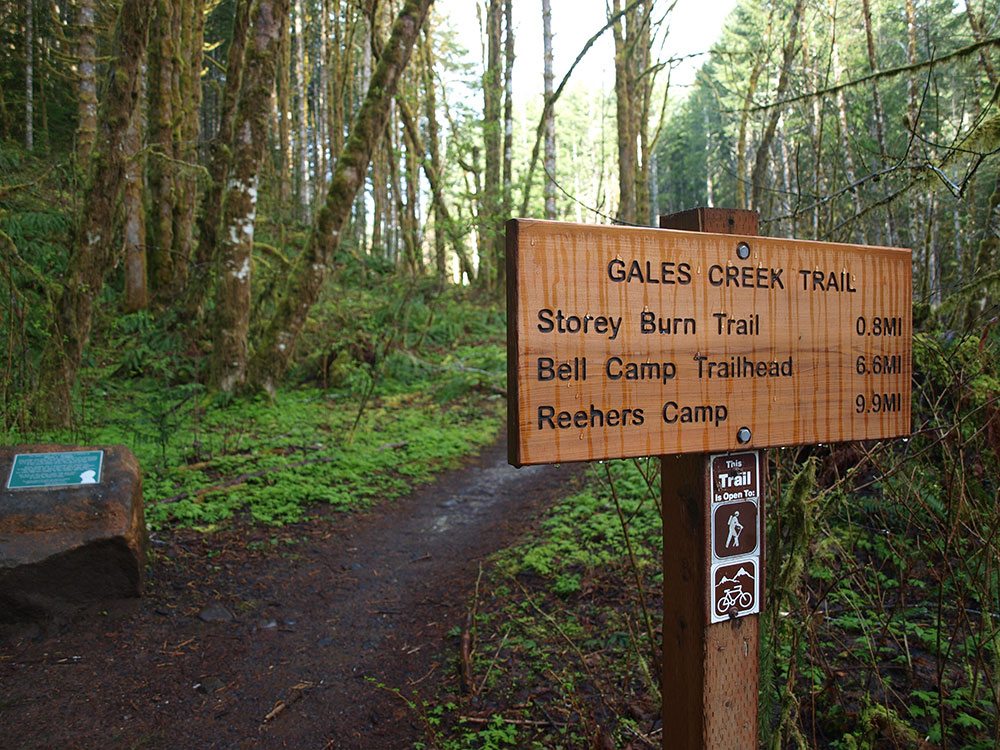 Gales-creek-trailhead