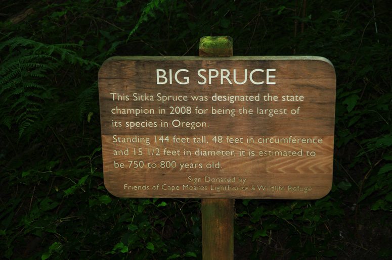 Big Sitka Spruce sign