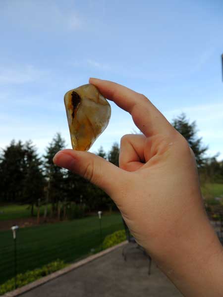 A carnelian agate after first 3 steps.