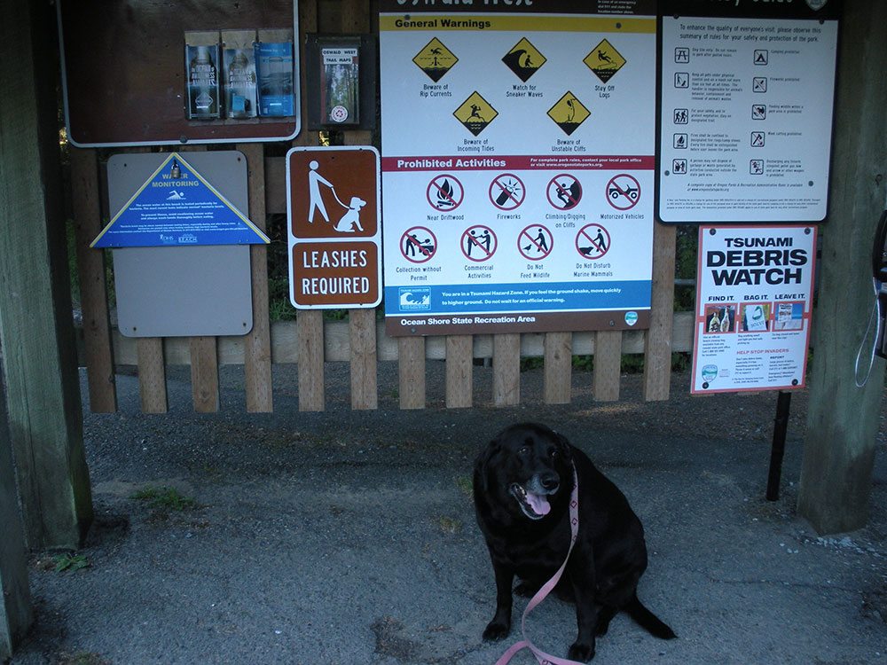 Black lab lease required sign