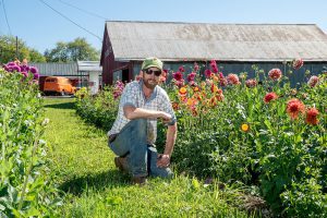 Man kneels in a farm field next to tall dahlias