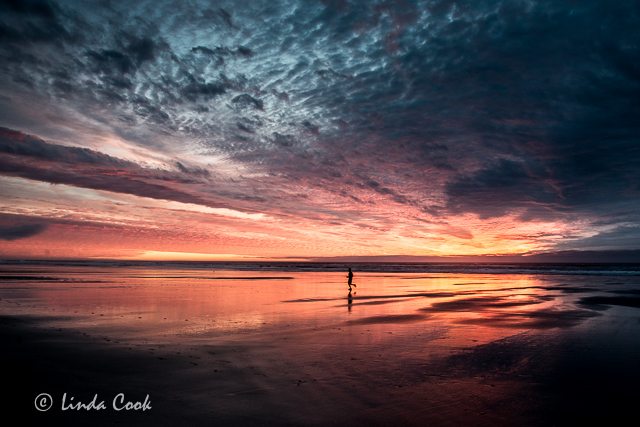 Tillamook Coast Oregon Sunset