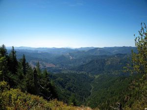 Sweeping view of rolling hills and trees
