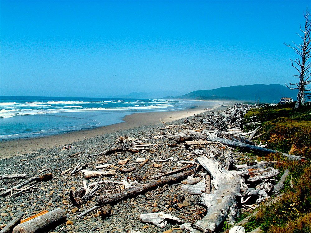 Beach logs at Cape Meares. Thor Steen