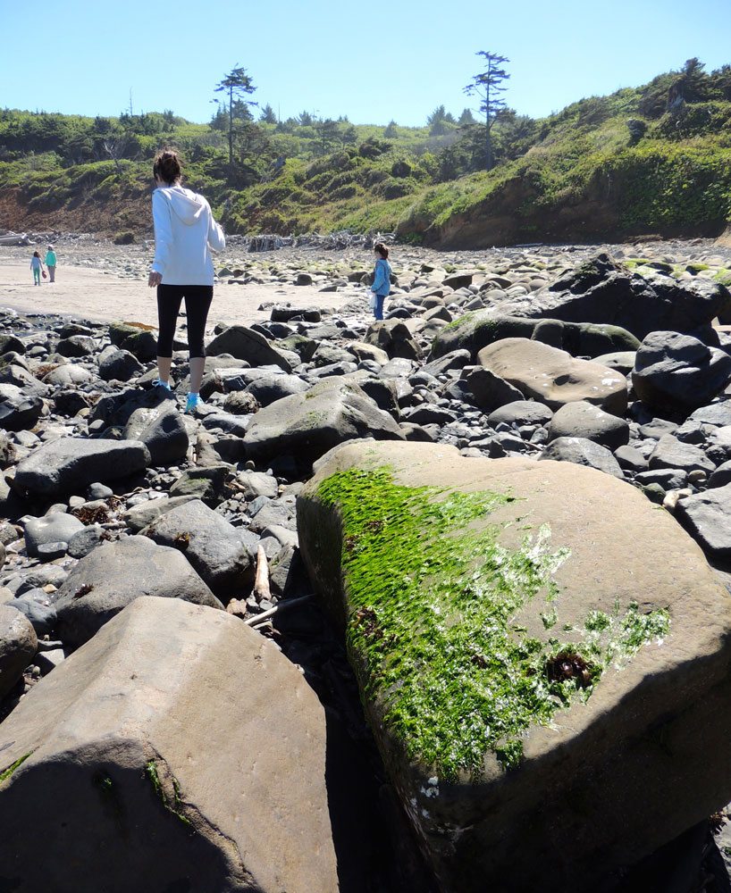 Slippery rock at Cape Meares