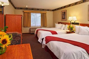 Hotel room with two beds and two lamps, sunflowers on the tables