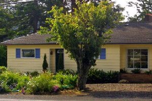 Small yellow house with short tree in front
