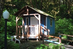 Small blue house on campground in the woods