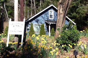 Wooden blue house in the woods with daffodils growing out front