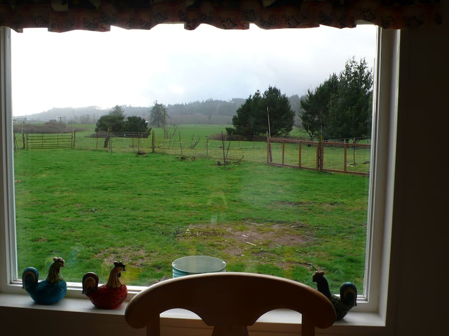 Grassy farm seen through a window