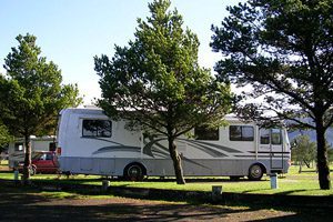 Big RV parked next to two trees