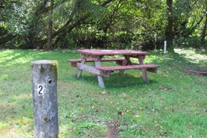 picnic table on an empty campsite