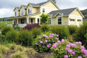 Big yellow house with rhododendrons and grasses surrounding