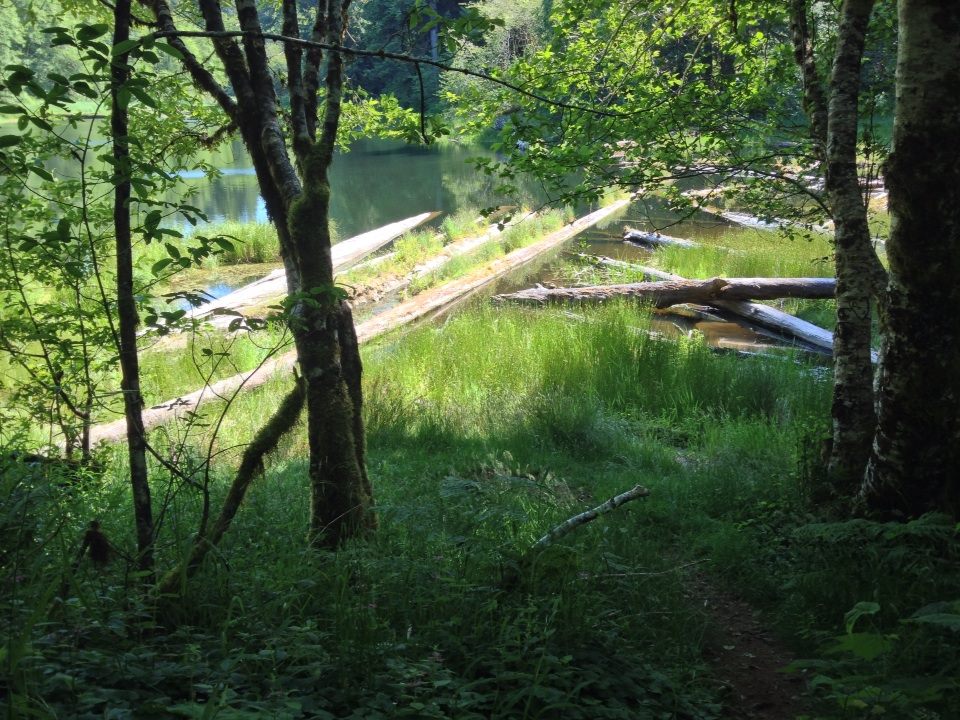 Soapstone Lake