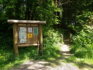 Soapstone Lake Trailhead