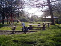 Al Griffin Memorial Park Campground