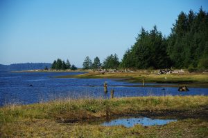 Kilchis Point shoreline