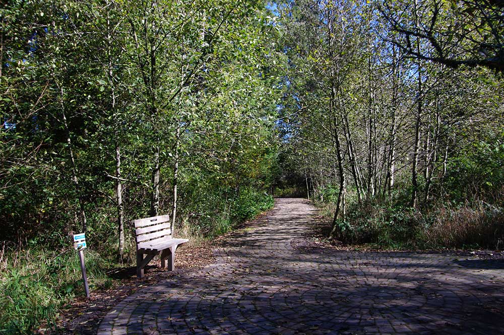 Kilchis Point trail