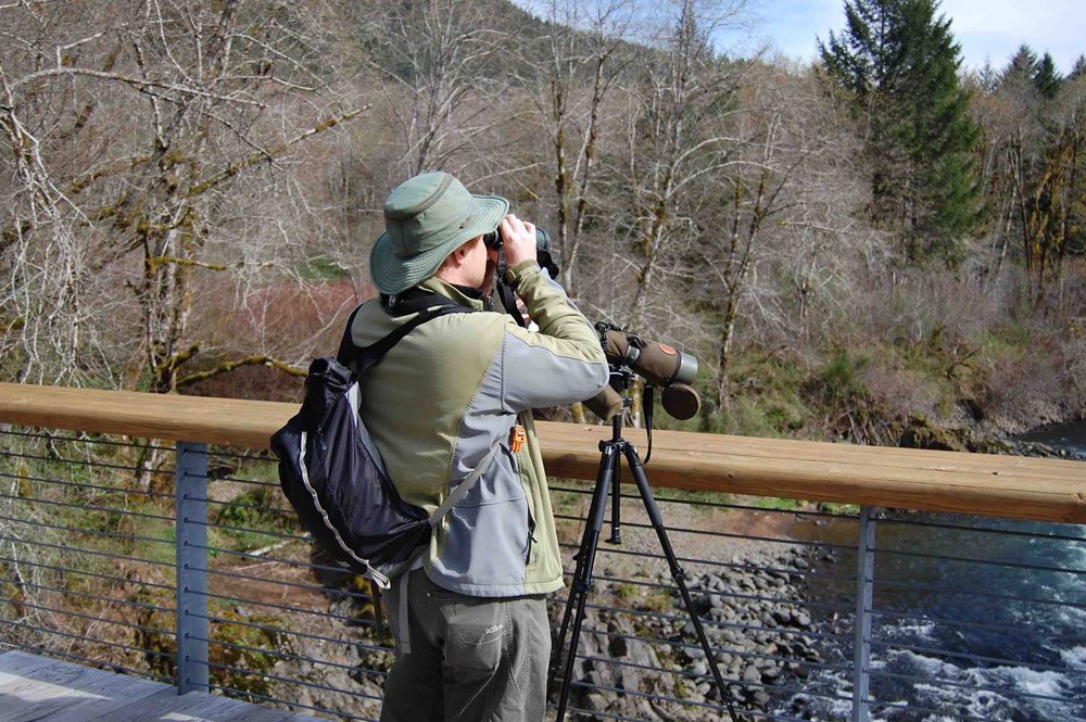 Birdwatching and wildlife viewing
