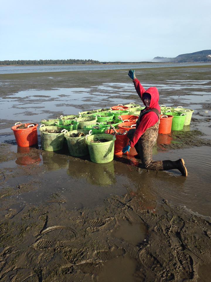 JAndy Oyster Company