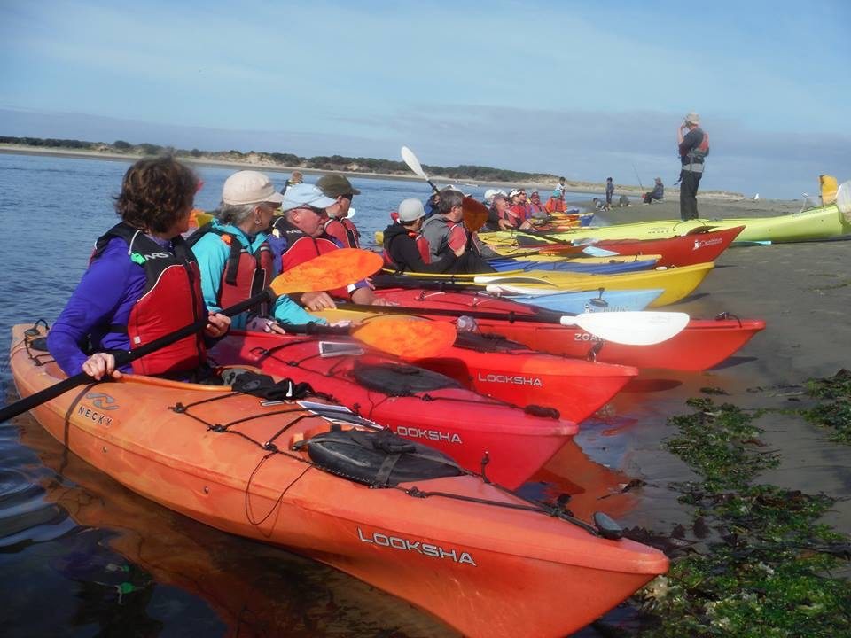 Group of people lined up in single kayaks on the shore