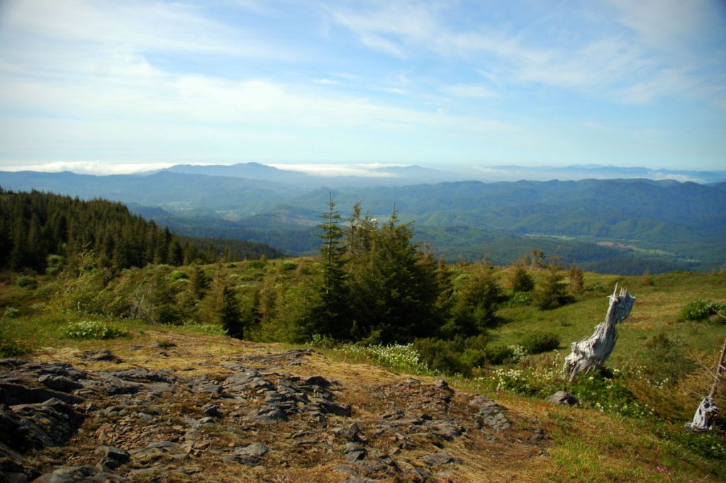 Mt Hebo summit