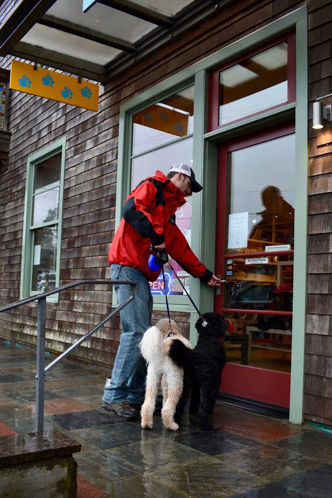 Four Paws Manzanita