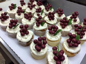 SaraSotas in Tillamook