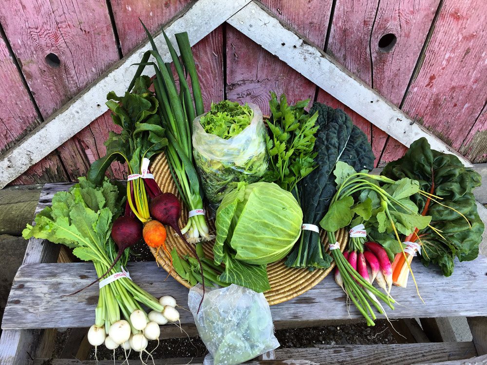 Pile of fresh vegetables in front of rustic wooden backdrop