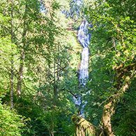 Munson Creek Falls