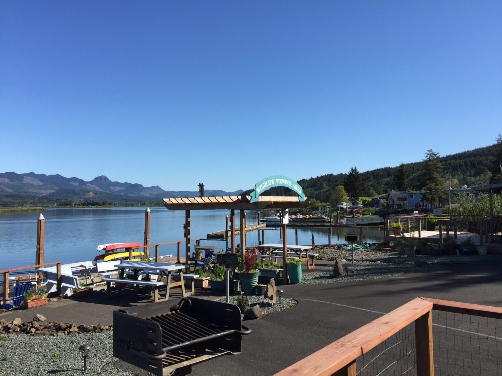 Kayak launch and wildlife viewing