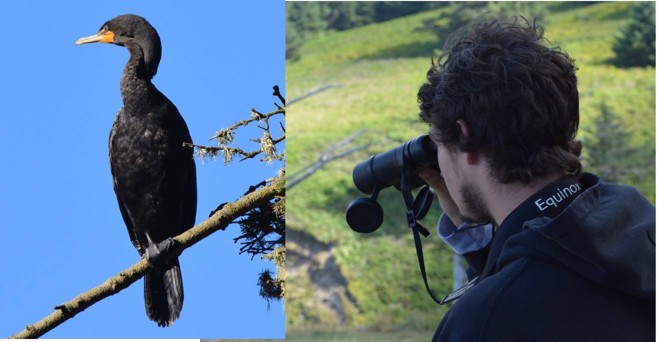 hike birds 1