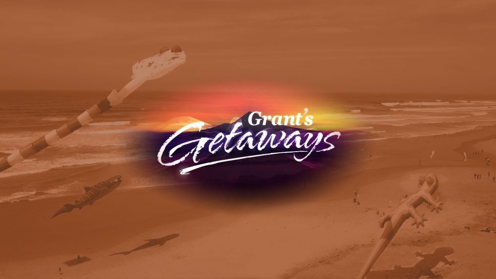 Rockaway Beach Kite Festival