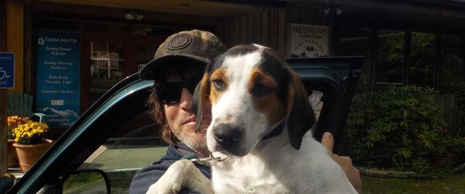 Animal Haven By The Sea Looks Out For All Four Legged Friends