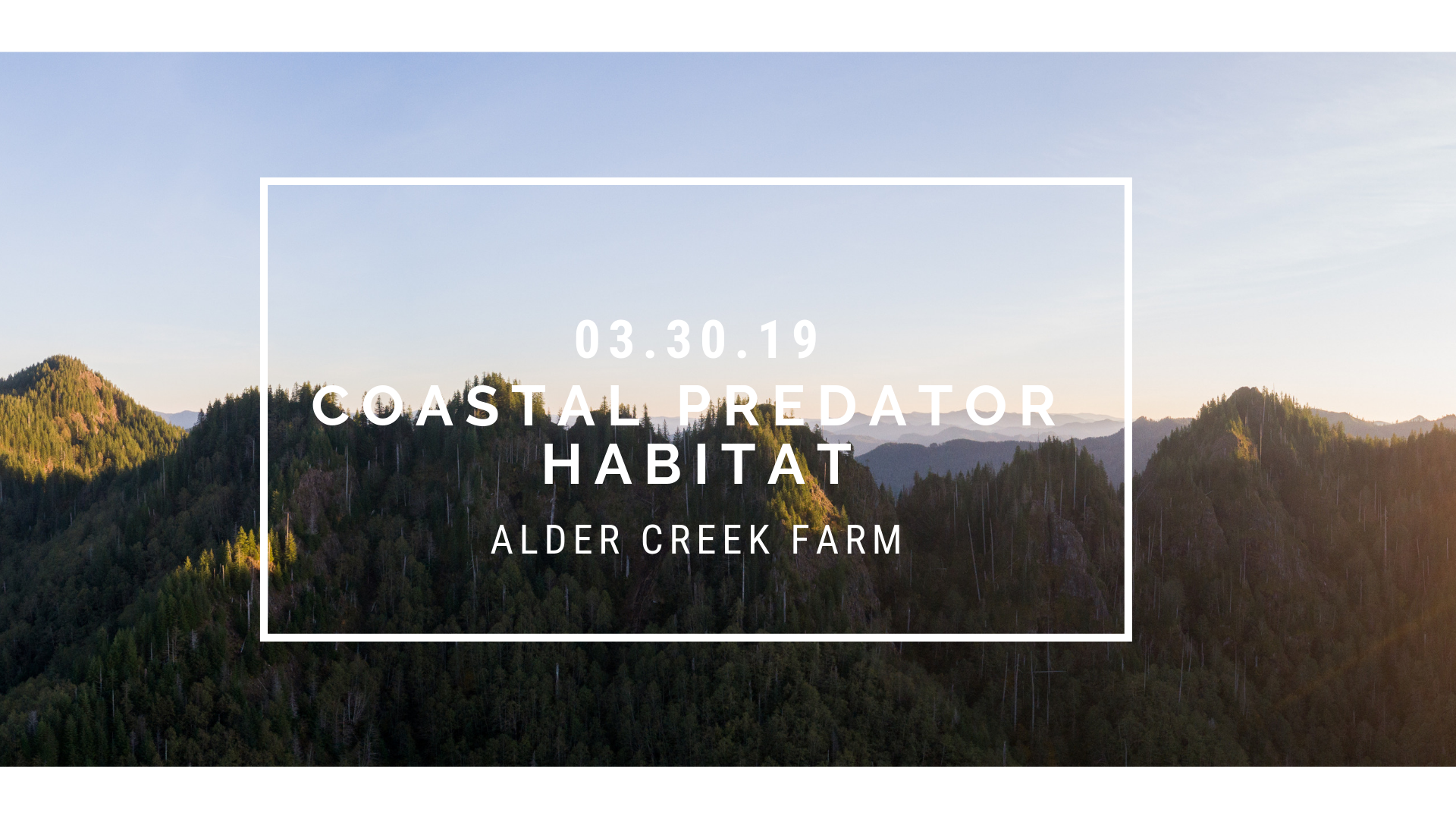 Coastal Predator Habitat
