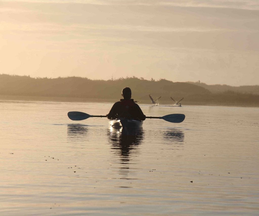 caring for coast