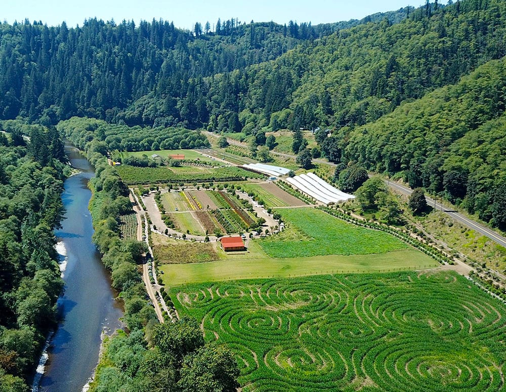 Hydrangea Ranch overhead