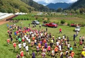 Hydrangea Ranch race