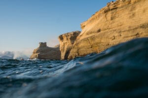 Nature & Wildlife on the Tillamook Coast